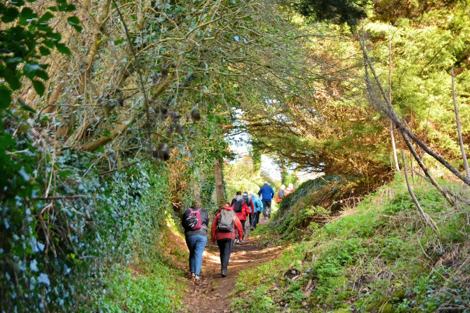 Ältere Wanderer in Trégor in der Bretagne